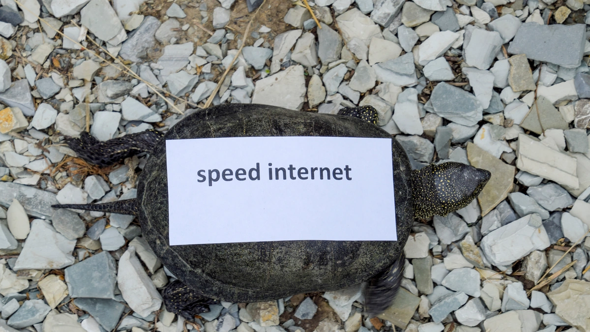 Internet Slowdown Expected for Three Nights Due to Submarine Cable Maintenance