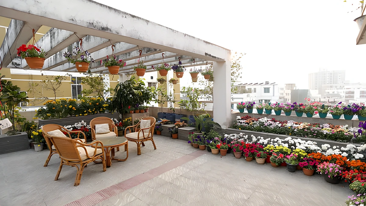 If want to start a rooftop garden in winter, here’s how to prepare right now