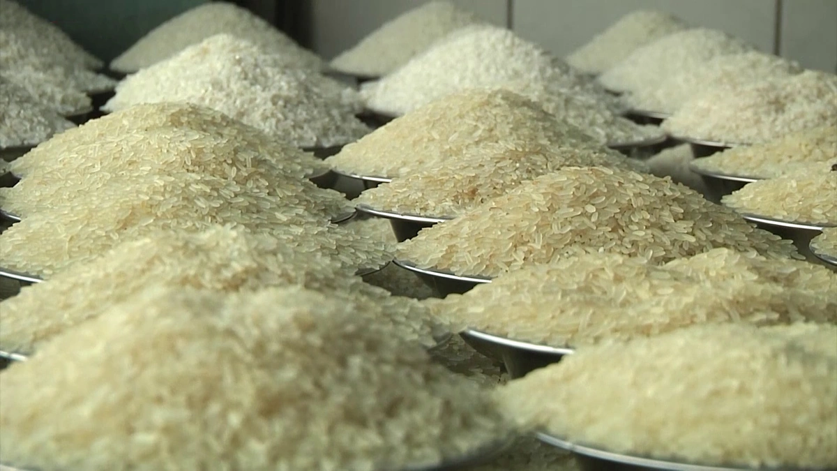 Government to Purchase 50,000 Tons of Rice from India, Costing 220 Crore Taka