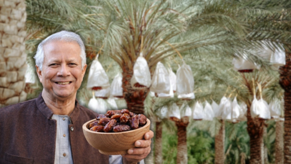 Government Reduces Import Duty on Dates Ahead of Ramadan