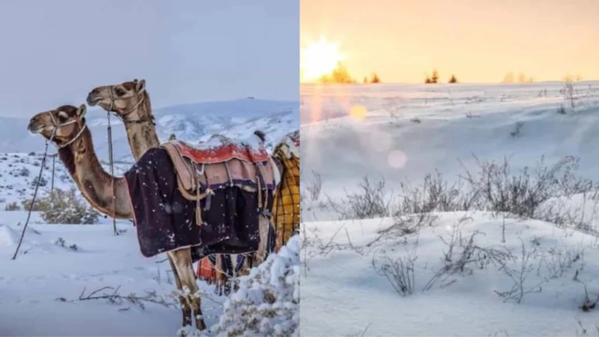 Snow Blankets Several Regions in Saudi Arabia as Temperatures Plunge