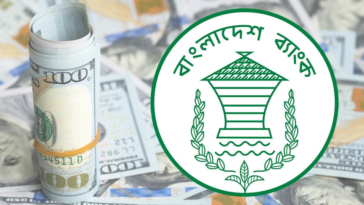 Central Bank Purchases Over 1 Billion Dollars in December