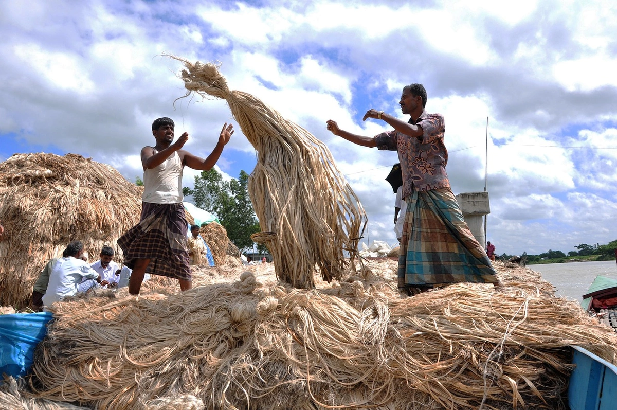Jute Goods Exports Show Signs of Recovery After Four-Year Slump