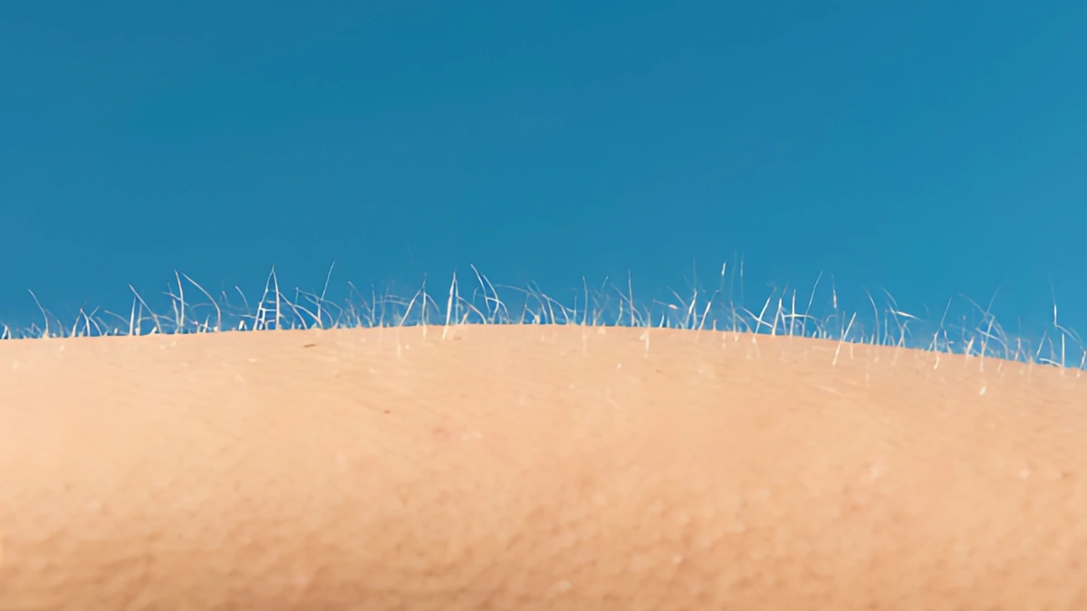 Why do we get goosebumps when we’re scared?