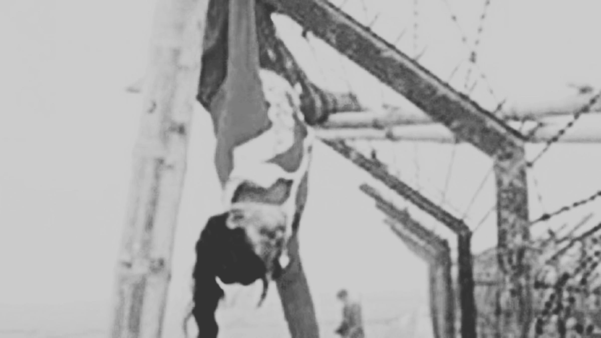 15th Anniversary of Felani Khatun's Killing: A Day of Remembrance and Demand for Justice