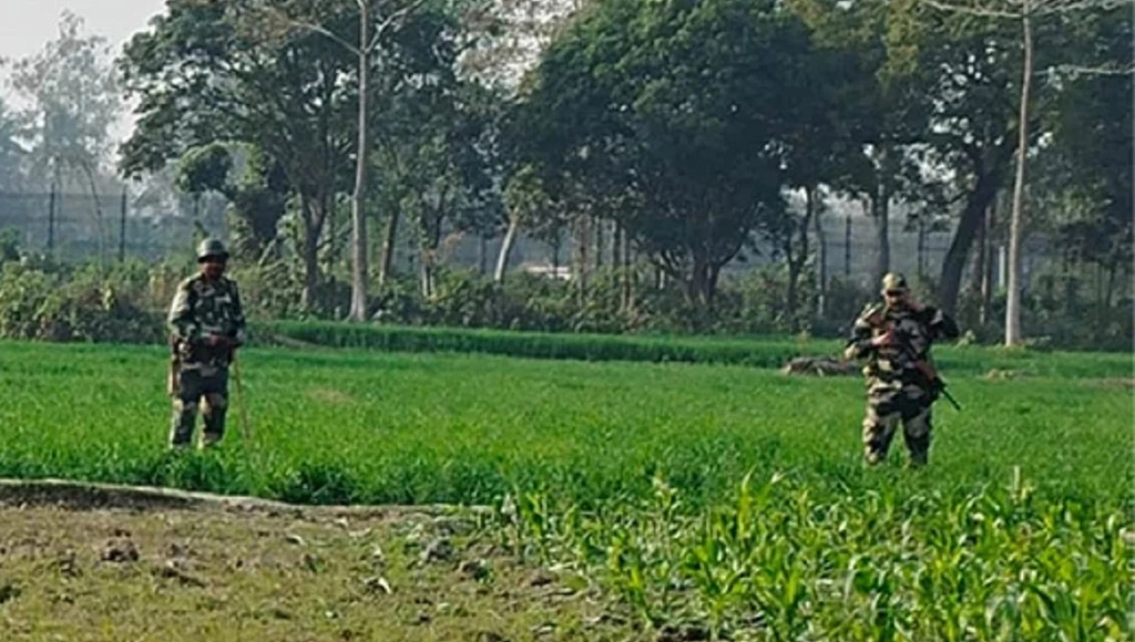 Border Killings Reach Highest in Five Years, 34 Bangladeshis Killed by BSF