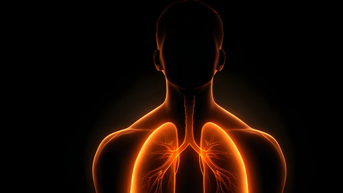 Daily and lifetime breaths of a human