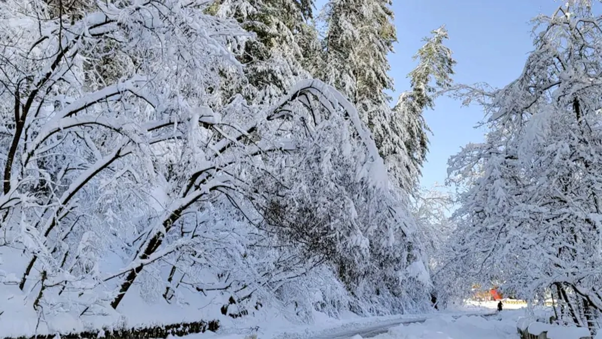Heavy Snowfall in Pakistan, Landslide Warning Issued, Tourists Advised to Avoid Travel