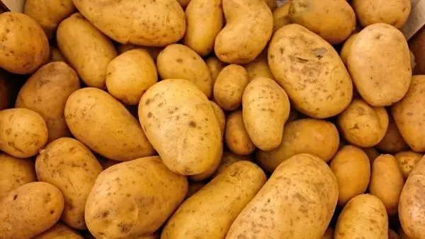 Government To Procure 50,000 Metric Tonnes Of Potatoes